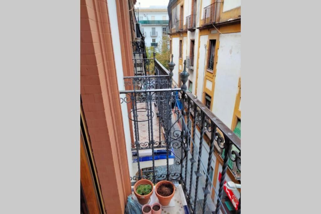 Apartamento Santa Cruz Sevilla Exterior foto
